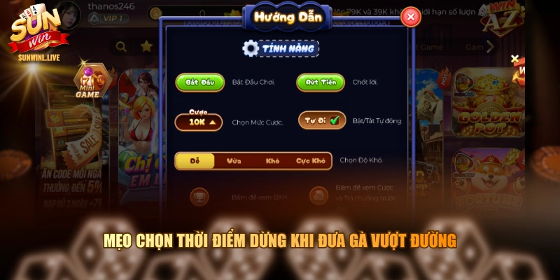 Mẹo chọn thời điểm dừng khi đưa gà vượt đường 