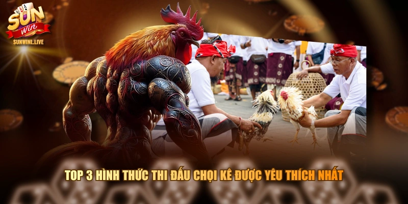 Top 3 hình thức thi đấu chọi kê được yêu thích nhất